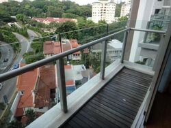 Cairnhill Crest (D9), Condominium #482280731